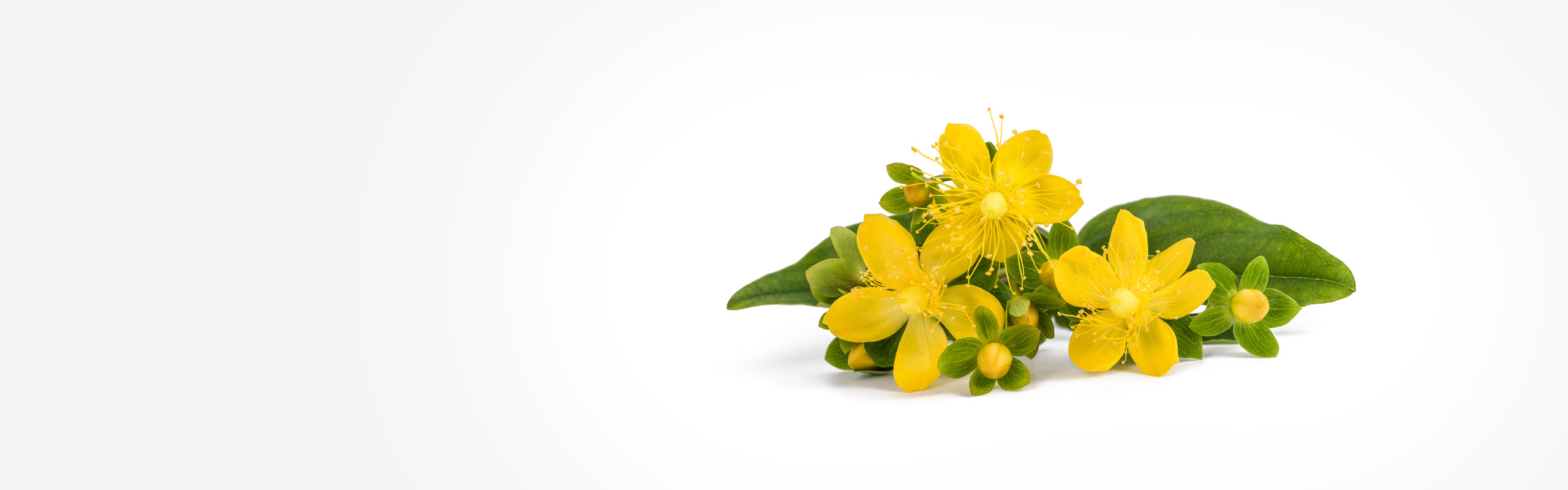 Praxis für Physiotherapie